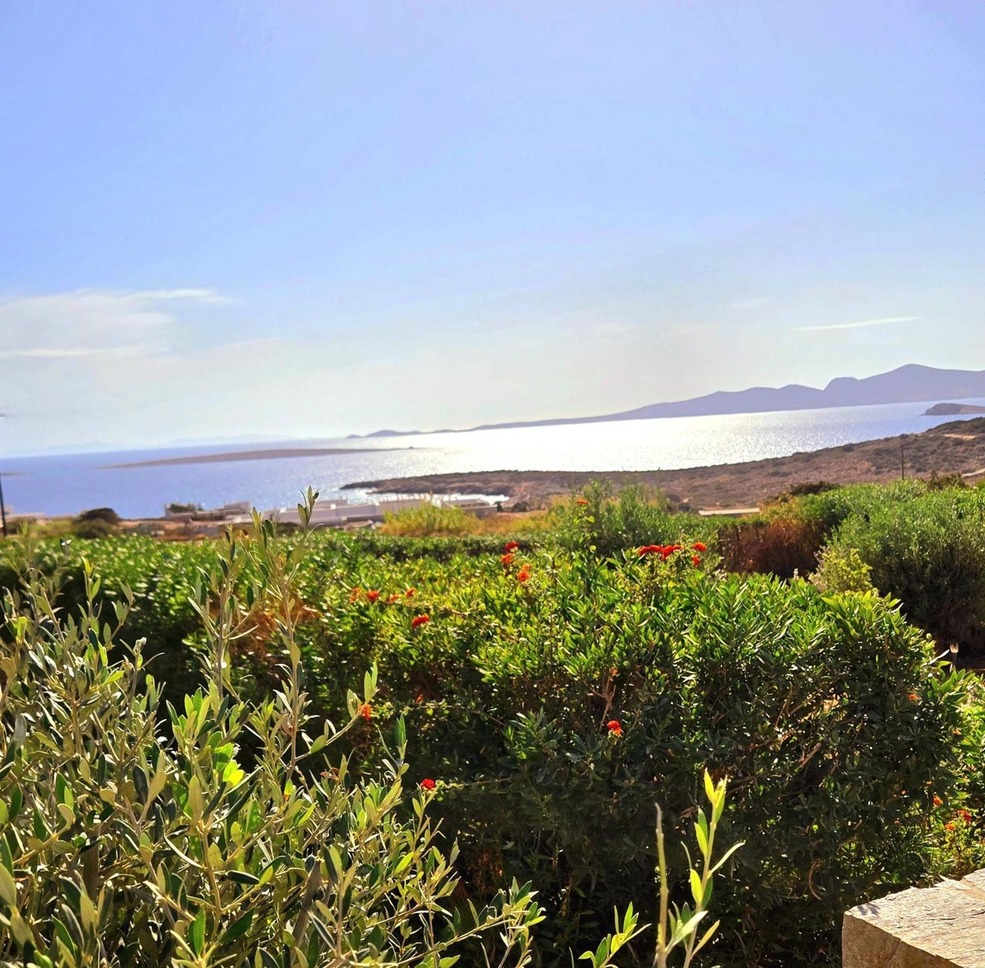 Paros Afrodite Luxury Villas Alikí Exterior foto