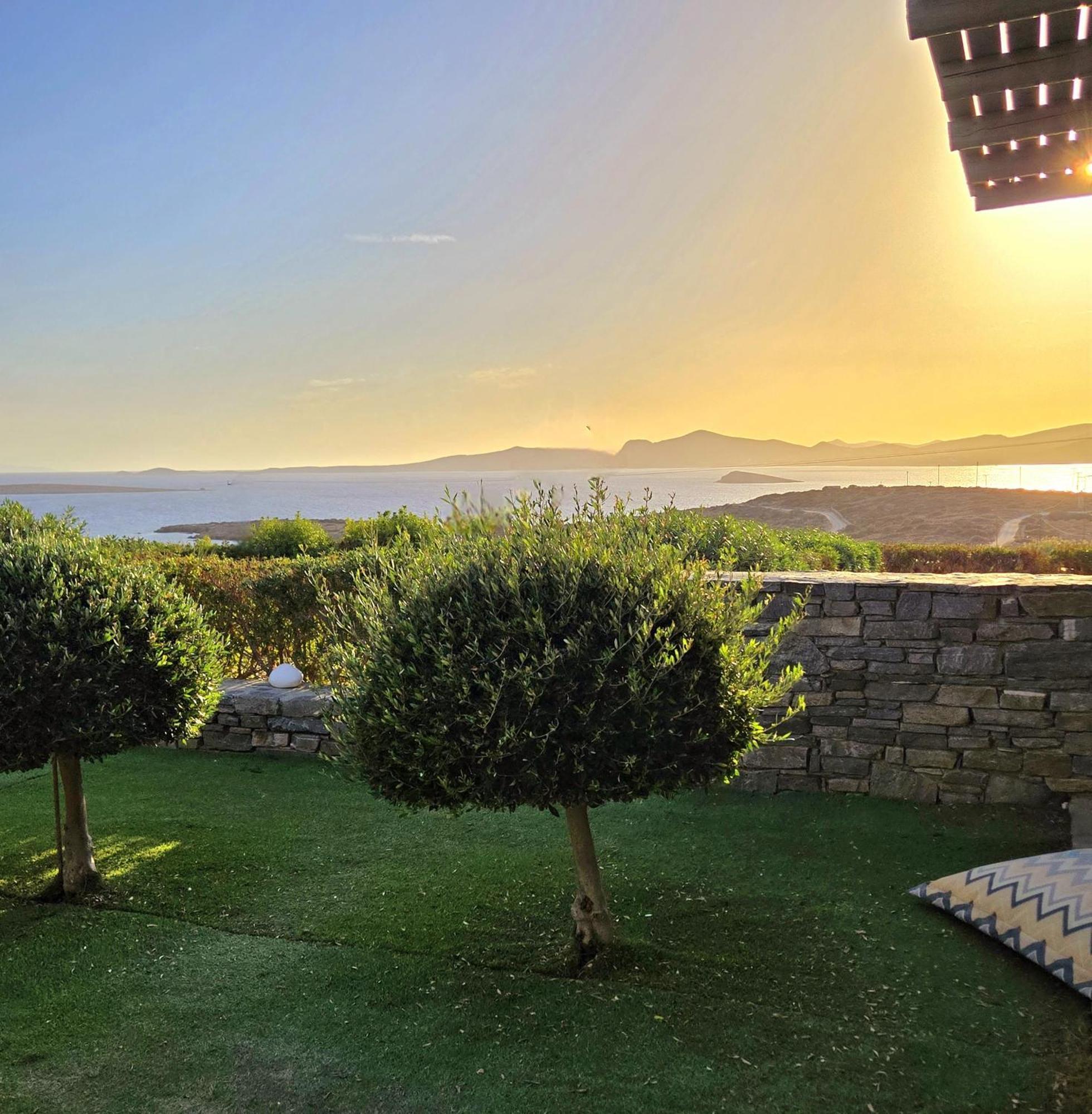 Paros Afrodite Luxury Villas Alikí Exterior foto